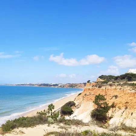 Sunny Village דירה אלבופיירה